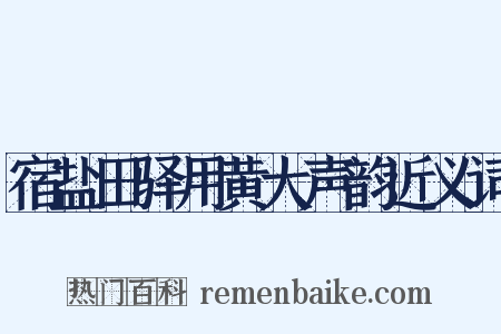 宿盐田驿用黄大声韵近义词是什么意思的图片